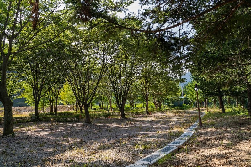 가리왕산 정원 캠핑장 시설 사진 2