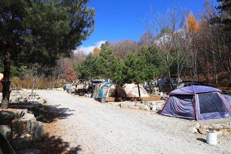 삼남매와 뭉치네 캠핑장 시설 사진 11