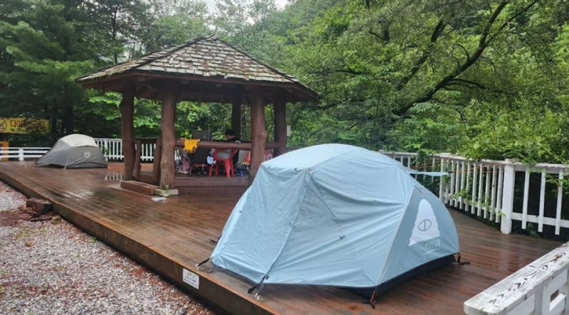 강원도 평창 흥정계곡 오토캠핑장 VIP사이트 이용후기️