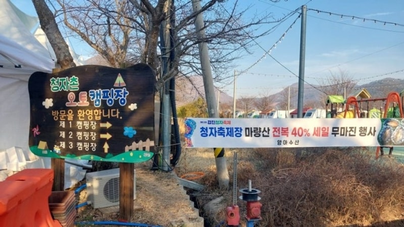 강진 청자촌 오토캠핑장 카라반 내돈내산 후기_강진 청자축제...