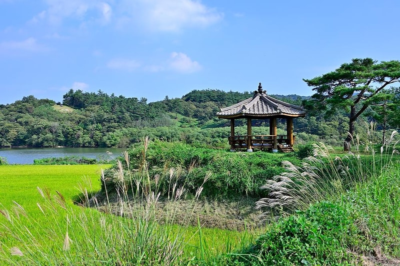 보성강 용정권역 어울마당 야영장 시설 사진 2