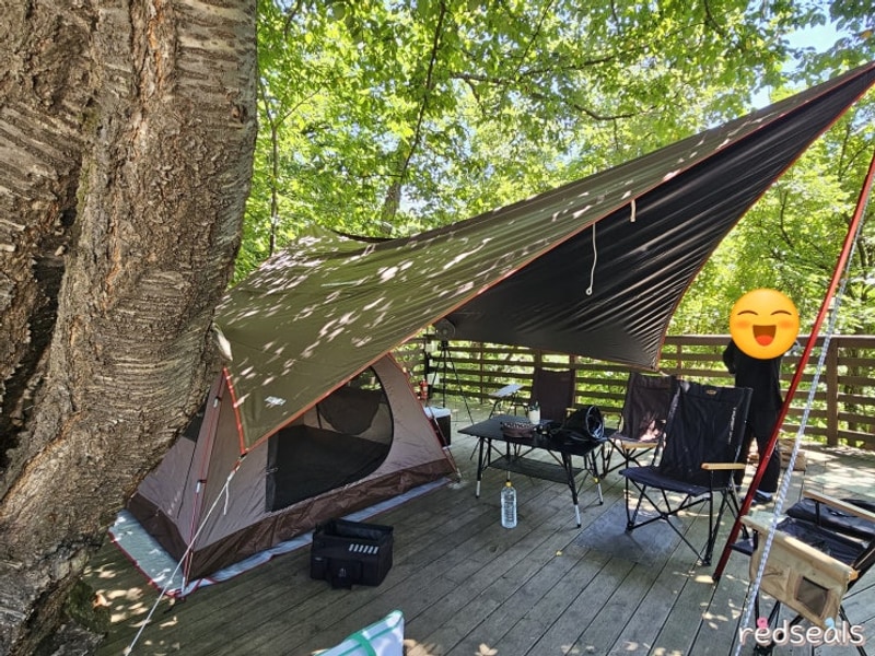 [남양주 캠핑] 남양주 별빛캠핑장 두가족 19번 사이트 후기