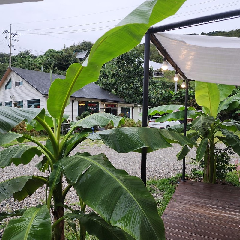 에덴글램핑 시설 사진 36