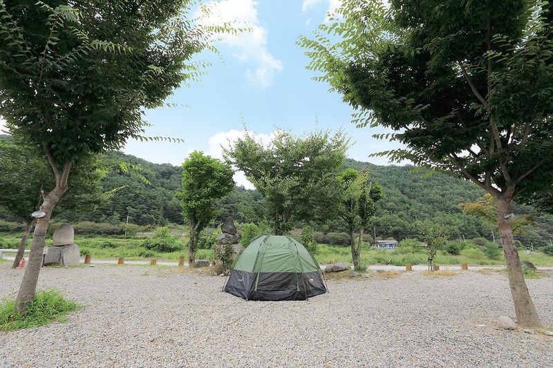 성주자연오토캠핑장 시설 사진 8