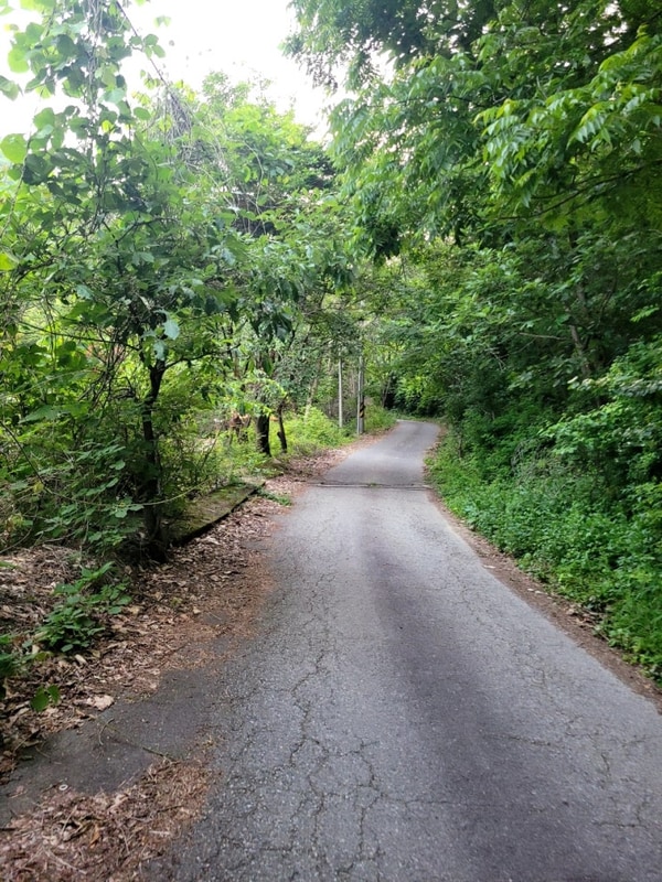 [완주 예원캠핑장 1박2일 캠핑]