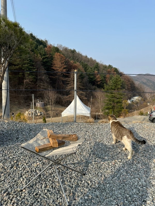 [춘천] 평화로운 우니메이카 춘천점 신생 오토캠핑장⛺