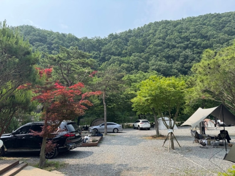서울 근교 양평 서종 조용하고 깨끗한 수입리 캠핑장 1번...