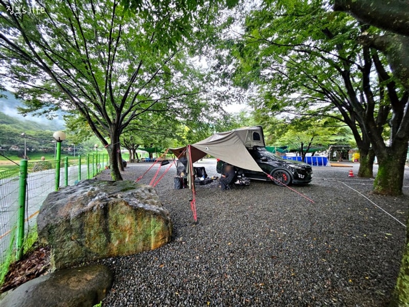 밀양 VIP오토캠핑장 이용후기!! 대구근교 표충사 계곡에...