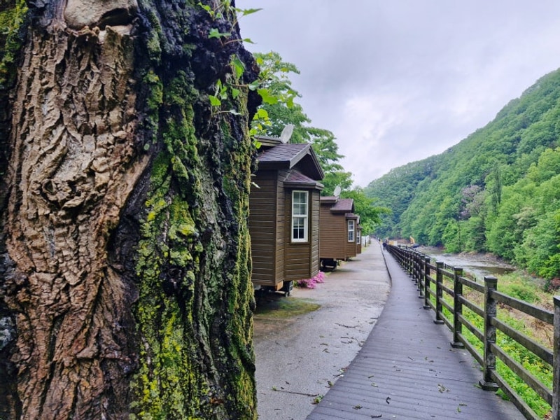대구 근처 영천 치산 캠핑장 캐빈하우스 후기