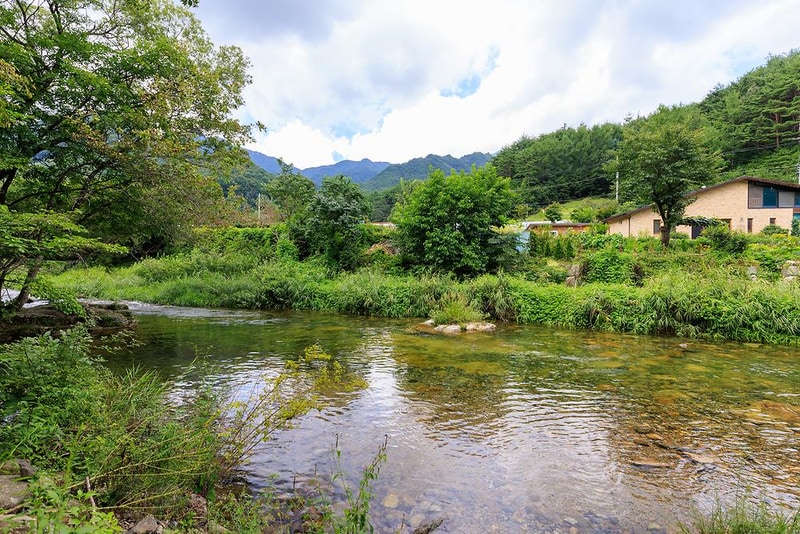 월성자연캠핑야영장 시설 사진 15