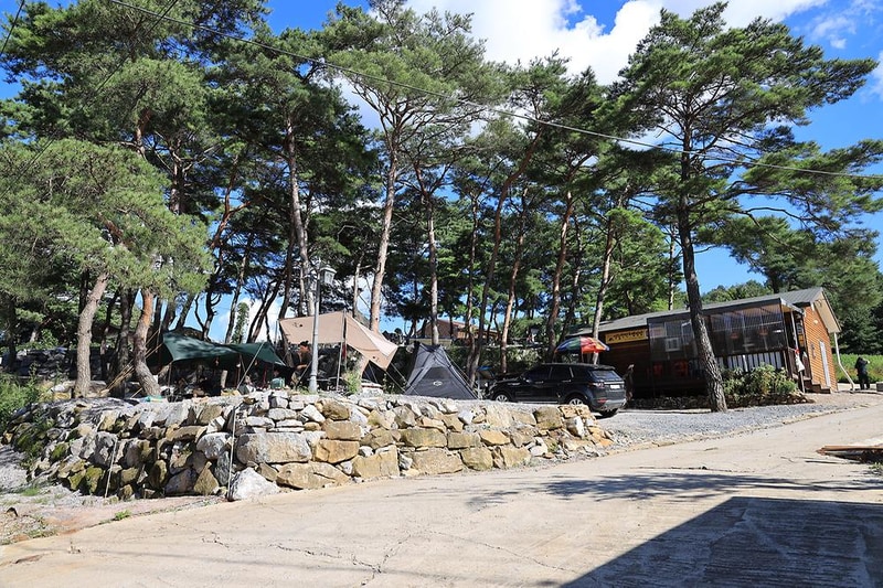 영월한반도캠핑장 시설 사진 20