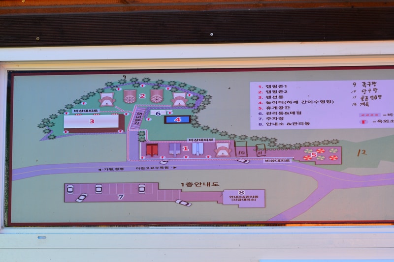 동물카라반 배치도 1