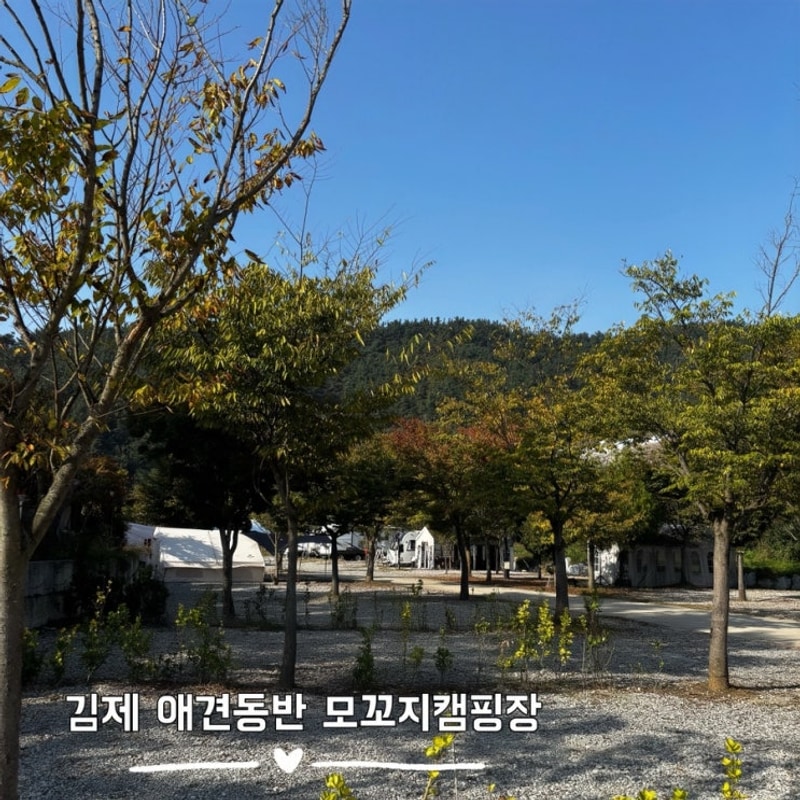 [김제] 금평저수지 애견동반 모꼬지캠핑장 솔직후기