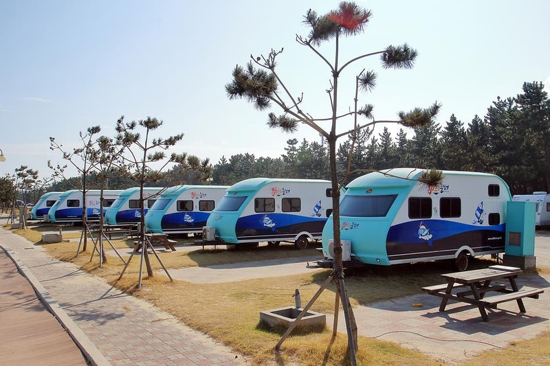 망상오토캠핑리조트 시설 사진 5