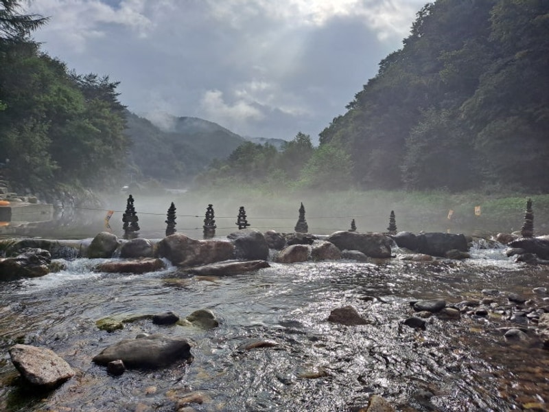 [영월] 내리계곡 사랑나무캠핑장 8월 이야기
