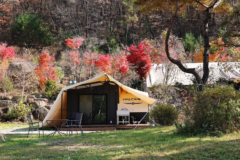 벤캠프(Ben Camp) 시설 사진 11