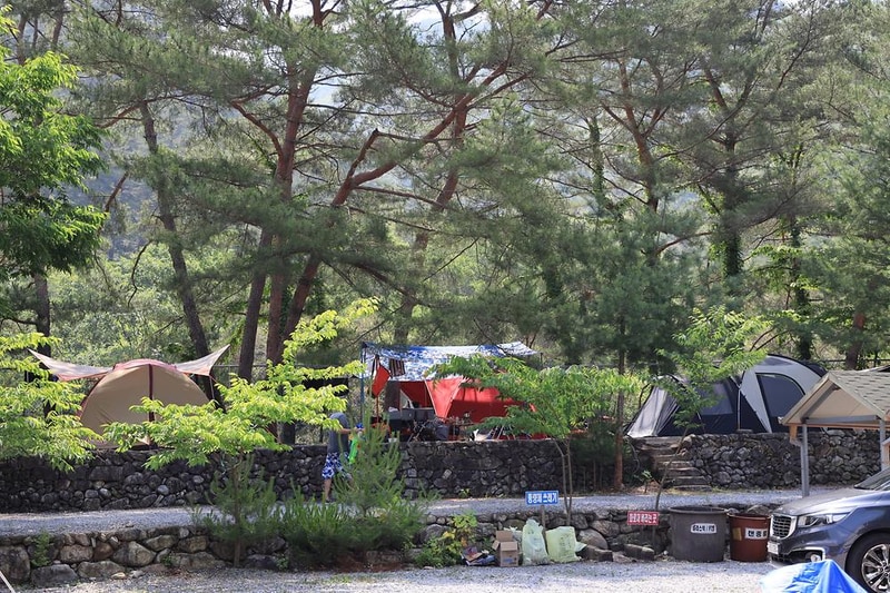 내리계곡 솔바람 캠핑장 시설 사진 17