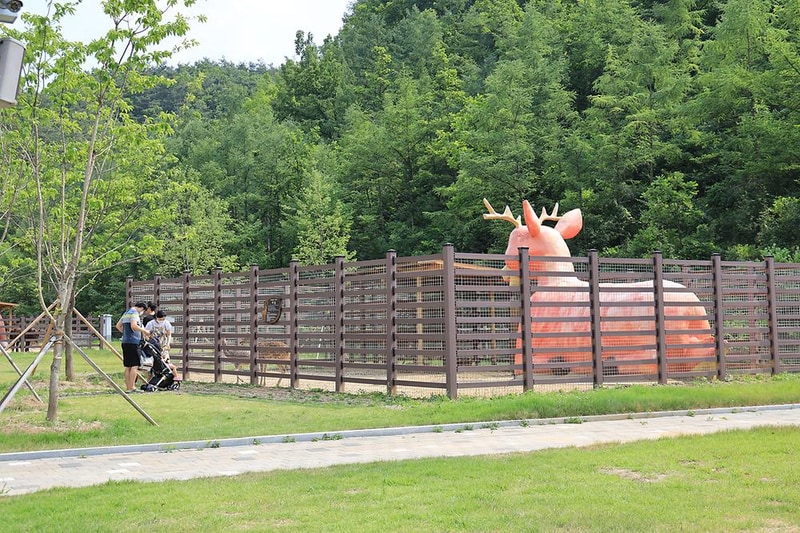 펫힐링 달빛동물원 캠핑장 시설 사진 8