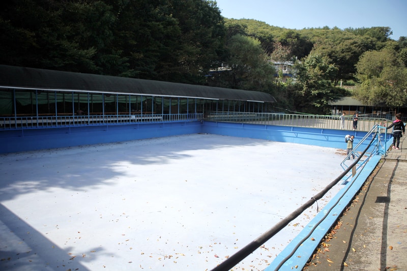 비타민 캠핑장 시설 사진 15