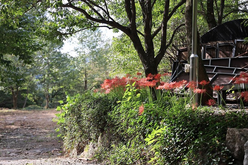 신박힐링캠프 시설 사진 16