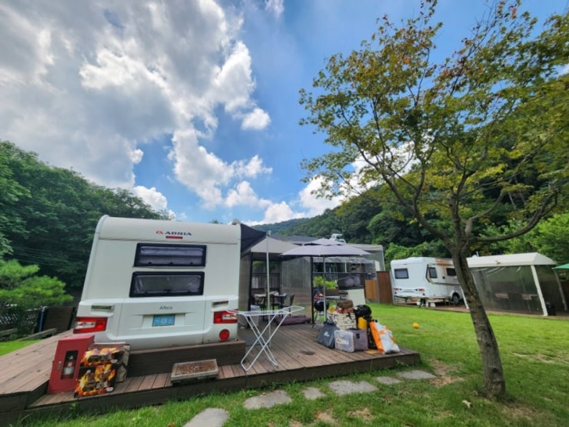 초리 포레스트, 서울 근교 파주 캠핑 - 8월 한여름 캠핑...