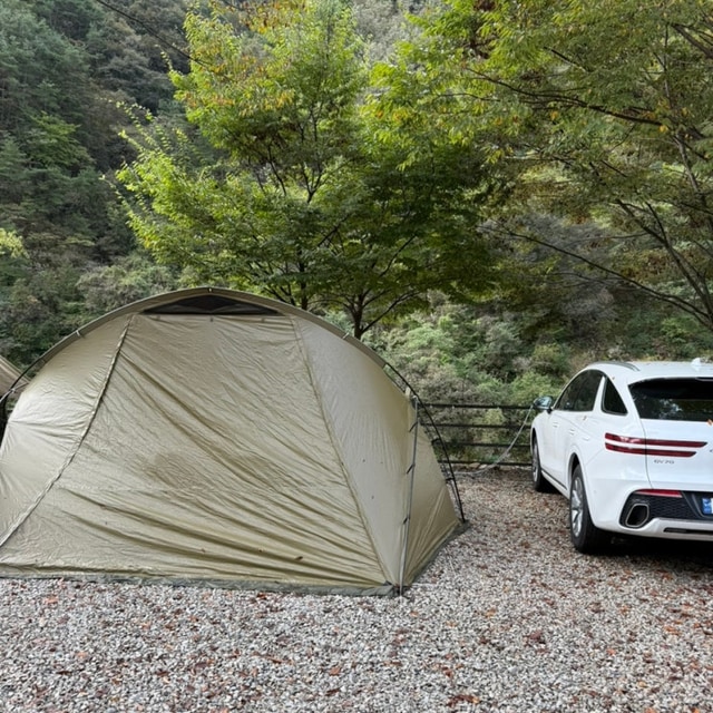 거창한 밤 캠핑장 대표 사진