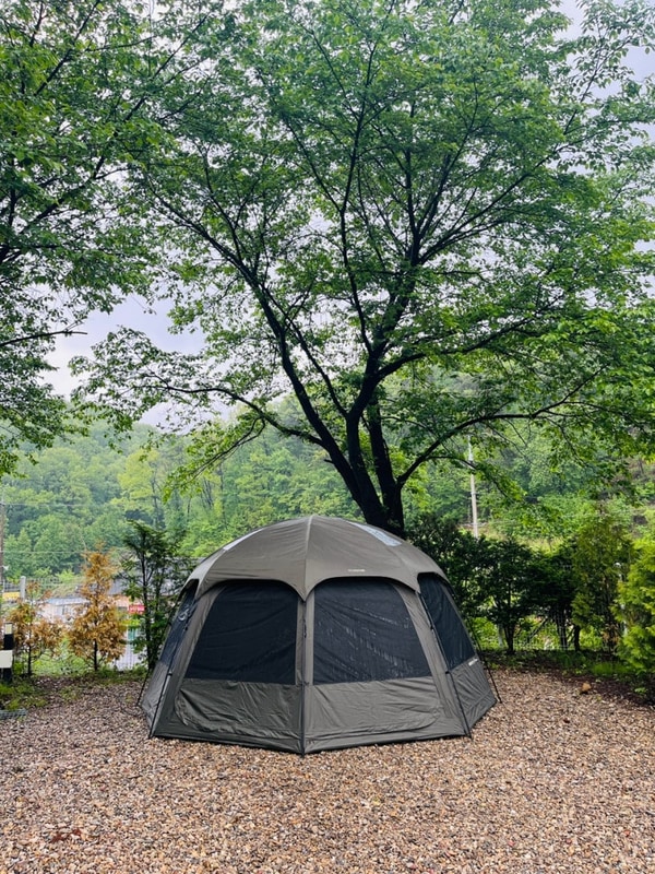 서울 근교 캠핑장 추천 포천 달사랑캠핑장 재방문 후기