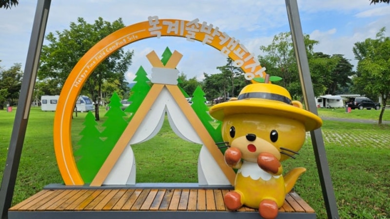 충주 '목계솔밭 캠핑장`