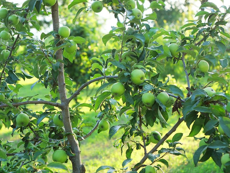 포천 리버빌캠핑&카페 시설 사진 10