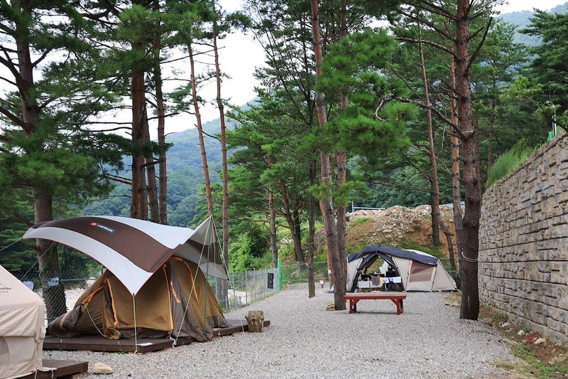 오색 산새소리캠핑장 시설 사진 7