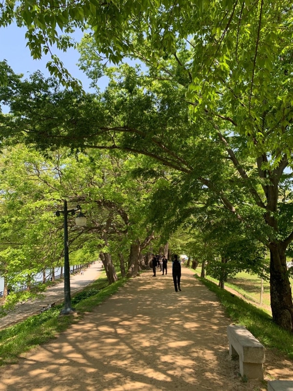 아이와 함께 담양대나무골 캠핑장(5월엔 담양 캠핑)