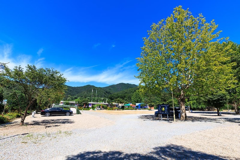 솔부엉이 캠핑장 시설 사진 14