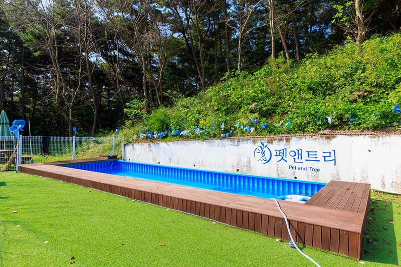 펫앤트리 시설 사진 11