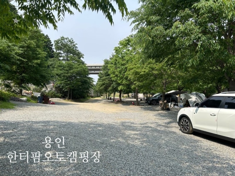[용인 키즈 캠핑장] 한터팜 오토캠핑장 22번 사이트