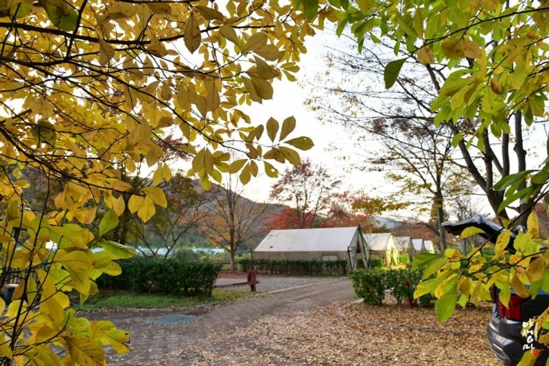 순천 주암 오토 캠핑장의 가을