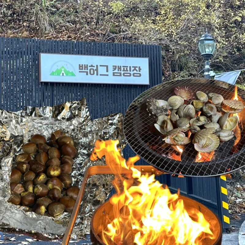 가평 개별 화장실 캠핑장 사이트 넓은 백허그 캠핑장 A2...