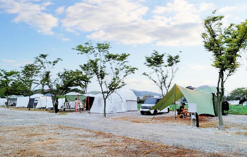 태안노을과바다캠핑앤글램핑 시설 사진 12