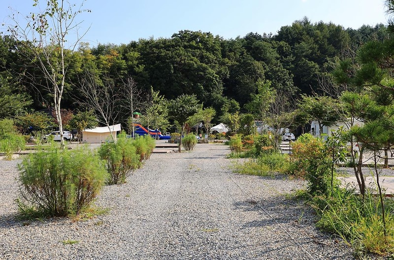 주천강 캠핑장 시설 사진 3