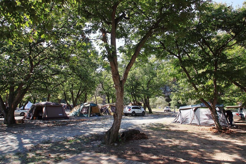 초평밤나무 시설 사진 4