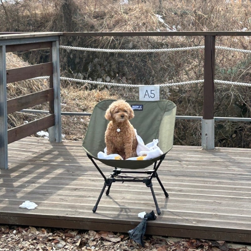 서울에서 50분 가평 '캠프 봉봉'에서의 두 번째 캠핑 후기