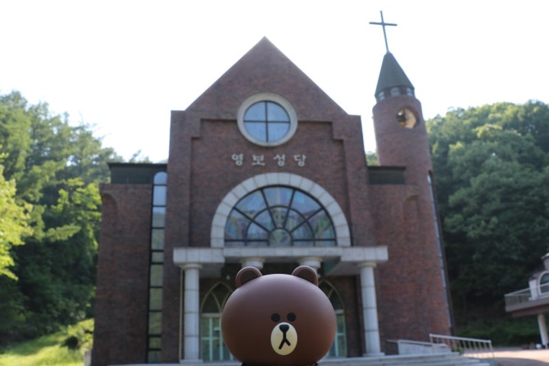 용인 영보성당 샤스타데이지... 경기도 등록야영장_문수산캠핑장