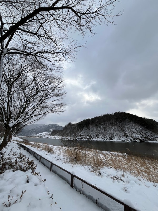 5월 3~5일 황금연휴 금산 인삼골오토캠핑장 (D6)후기와 명당...