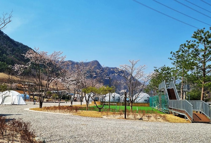 가네골농원 시설 사진 8