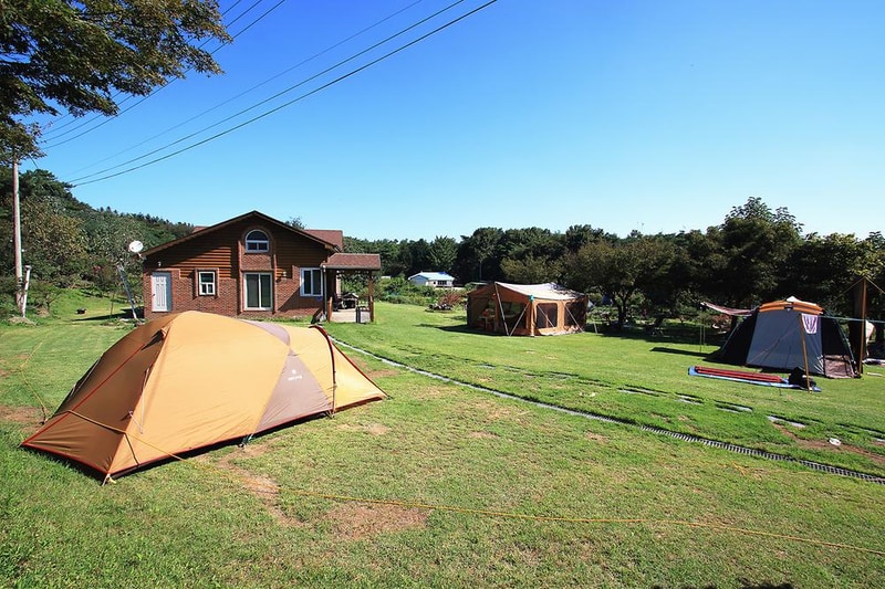 진경원민박캠핑장 시설 사진 17