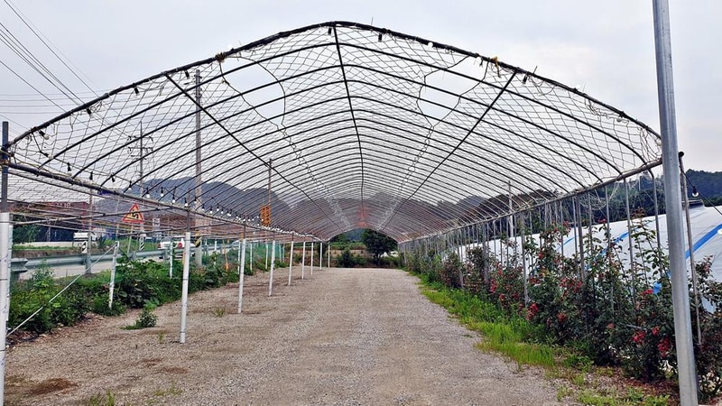 숲캠핑장 시설 사진 41