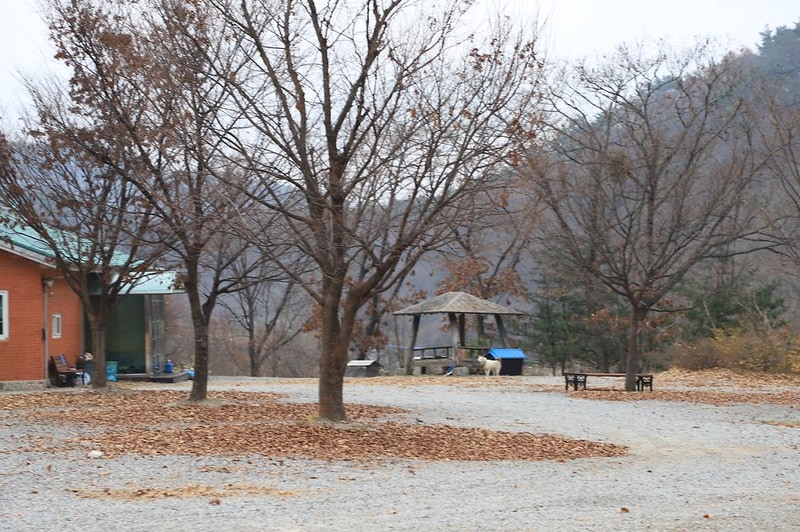 수피다 캠핑장 시설 사진 5