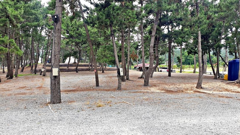 어은돌야영장 시설 사진 11