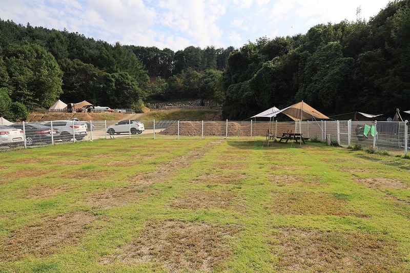 링크독 애견캠핑장(Link dog 애견캠핑장) 시설 사진 3