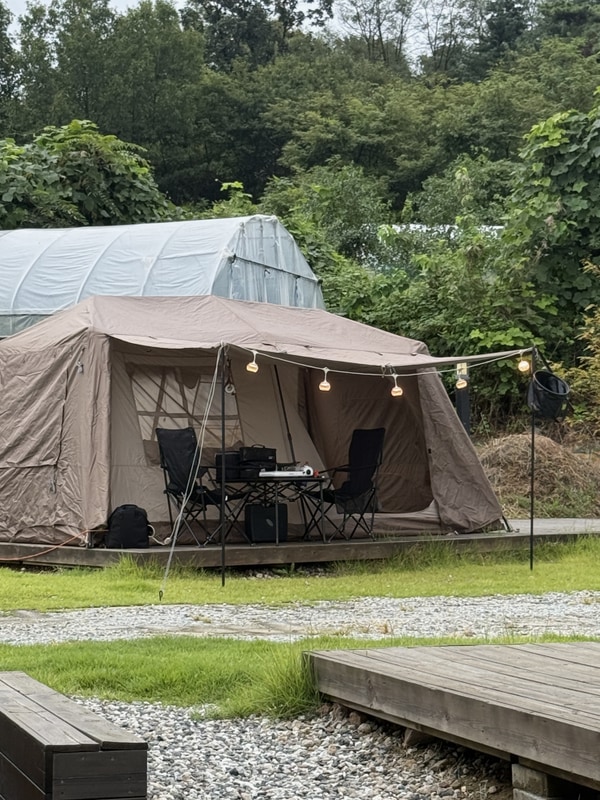 화성 - 엘리캠핑장 - D2 사이트 이용 후기 -성인4명, 아이1명 이용