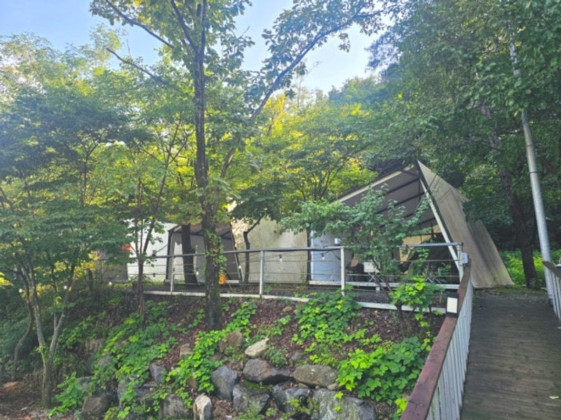 포천 하얀숲 캠핑장 타프존 여름 계곡 피크닉존 글램핑장